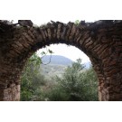 Εξωτερική καμάρα