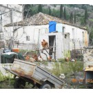 Κοτέτσι στην αυλή