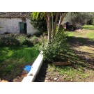 Υποτυπώδης διαχωρισμός αυλής 
