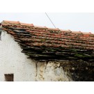 εικ 12