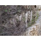 Λίθινη εξωτερική σκάλα στην κατοικία 23