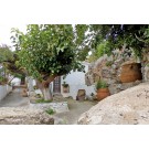 Αυλή σε ένα επίπεδο