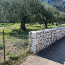 ΠΕΡΙΟΧΗ ΒΛΑΣΤΗΣΗΣ ΣΤΟΝ ΟΙΚΙΣΜΟ (ΕΛΙΕΣ,ΧΑΡΟΥΠΙΕΣ)